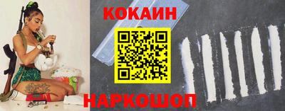 гашик Камышлов