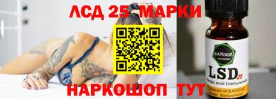 гашик Камышлов
