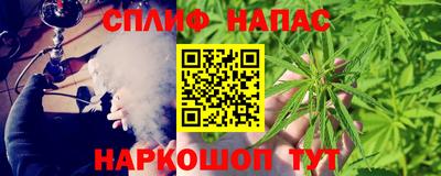 гашик Камышлов