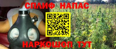 гашик Камышлов