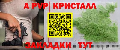 гашик Камышлов