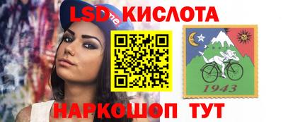 гашик Камышлов