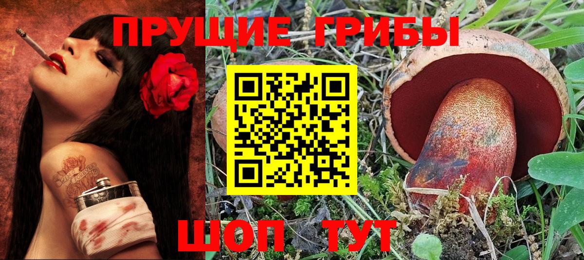 Галлюциногенные грибы GOLDEN TEACHER Красный Сулин