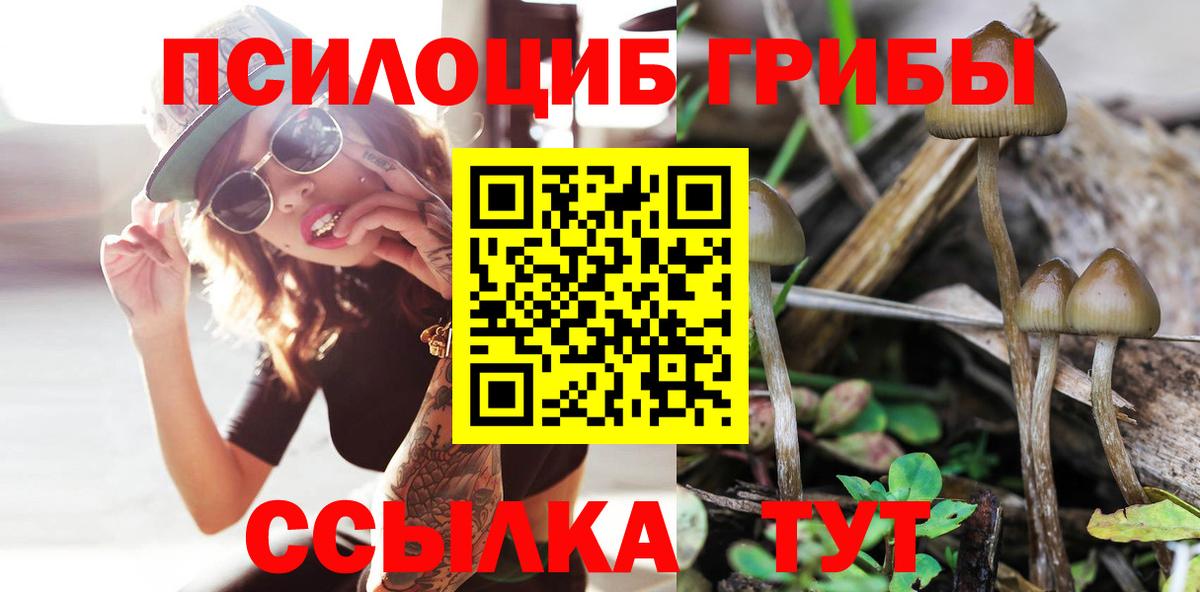 Галлюциногенные грибы прущие грибы  Вход с VPN  Галлюциногенные грибы GOLDEN TEACHER  Красный Сулин 
